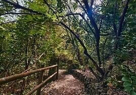 La Villa de Moya ofrece un enorme potencial turístico de costa a cumbre