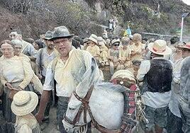 Agüimes rinde homenaje a su pasado agrícola con la Traída del Gofio y el Agua