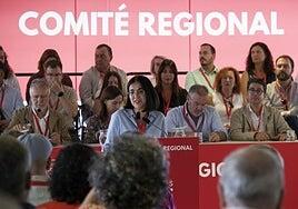 El Comité Regional avala la gestión de Torres al frente del PSOE canario