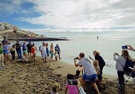 El club de buceo Gran Azul festeja sus 25 años en Melenara