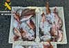 Denunciado por comercializar en una lonja de Gran Canaria pescado capturado ilegalmente