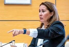 Fuerteventura «hizo los deberes porque tenemos el suelo desde 2017» para trasladar la central eléctrica