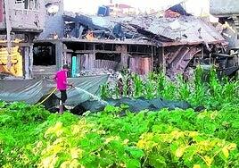 Un oasis verde de vida en una Gaza moribunda