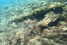 Reaparece un viejo cañón bajo el mar de Castillo y los vecinos piden su rescate