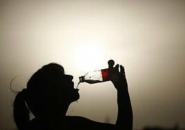 Las bebidas refrescantes siguen creciendo y ya aportan 500 millones a la economía de Canarias