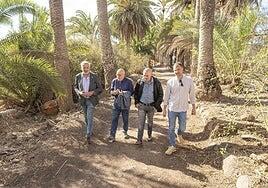 El Cabildo restaura el camino y el palmeral de Salvago del campus de Tafira