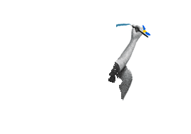 Vida y obra en el oficio del cómic: ¿el dibujante nace o se hace?