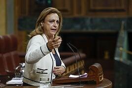 Un pleno sobre migración con apenas migración