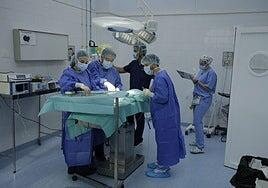 Siete auxiliares y tres técnicos para el Hospital Clínico Veterinario