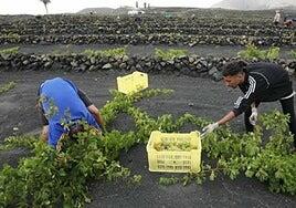 Los siete municipios alcanzan récord en la Seguridad Social