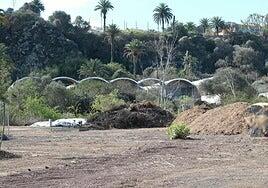 El Cabildo moderniza las instalaciones del Jardín Canario