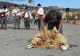 Agüimes rinde homenaje a los hombres y mujeres del sector primario