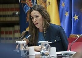Turismo ve ratificada «por la mayoría de canarios» su negativa a cobrar por pernoctar