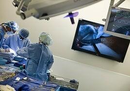 El Congreso crea una baja especial para donantes vivos de órganos o médula