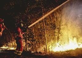 Canarias, en riesgo de incendios forestales por la sequía y las anomalías cálidas