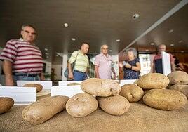 Teror le saca el jugo a la papa
