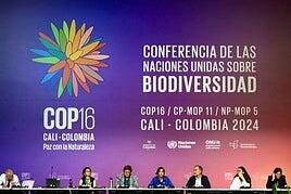 5 claves para entender la COP16 de Biodiversidad que se celebra en Colombia