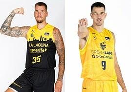 Músculo en la zona y carácter en el perímetro