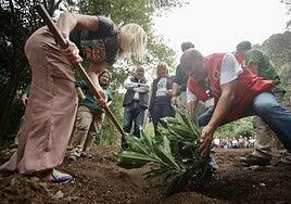 Cruz Roja cumple 150 años extendiendo sus ramas en el Jardín Botánico