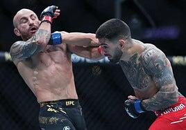 Así han sido las 15 victorias del invicto Topuria, primer español campeón de la UFC