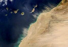 Dos supercalimas con registros de récord