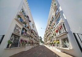 Lo que susurran las flores del cementerio
