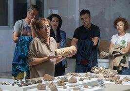 Viaje a través de los fósiles de Fuerteventura