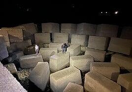 Operación pardelas: al rescate de 2.000 pollos