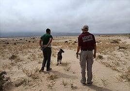 El Cabildo suma 250 sanciones este año por daños al medio ambiente