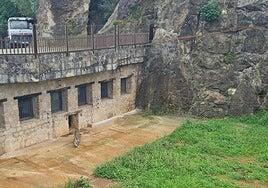 Un leopardo persa de Cabárceno se escapa del recinto y tiene que ser abatido