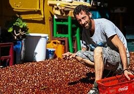 Un agricultor de La Palma denuncia que le han robado 10.000 euros en castañas y fruta