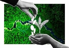 COP29: una cita para llenar la hucha contra el cambio climático