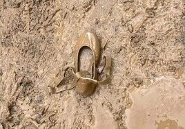 No dejes que sea su última bailarina