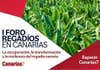 Recuperación, transformación y resiliencia del regadío canario, a debate en CANARIAS7