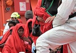 Lo nunca visto: llegan a Canarias cuatro gatos en un cayuco