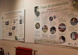 El oro rojo canario encandila en Madrid