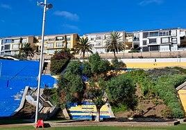 Amenazan con encadenarse al olivo en honor a Palestina si deciden talarlo para los carnavales