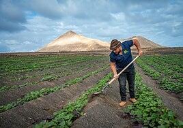 La Seguridad Social ya supera la cota de 76.000 afiliados