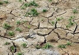 África no puede pagar la factura del cambio climático