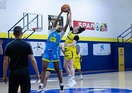 El SPAR Gran Canaria suma su tercer triunfo consecutivo ante el Cadi La Seu