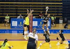 El Heidelberg Volkswagen mantiene el liderato tras imponerse al Sant Cugat