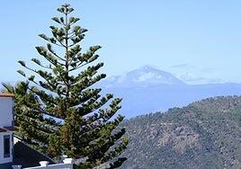 La Aemet activa el aviso amarillo en Canarias por lluvias