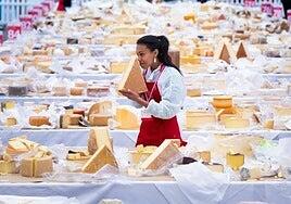 17 quesos de Gran Canaria, entre los mejores del mundo