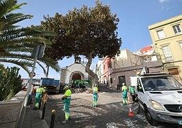 San Nicolás para la tala del árbol de la ermita