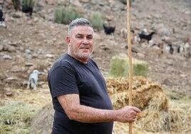 Un queso mezcla bajo los riscos de Amurga conquista el mundo