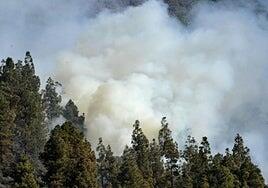 El Cabildo de Gran Canaria declara la alerta por riesgo de incendios forestales