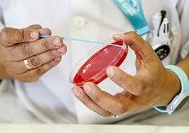 Canarias suma 236 positivos de VIH en el último año: la cifra más alta desde 2019