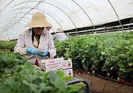 La primaria defensa del sector turístico