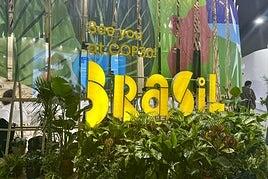 La lista de tareas pendientes que la COP29 deja para Brasil en 2025