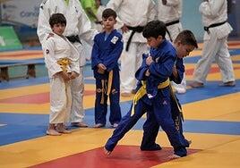Jornada solidaria en el Festival de Judo en Tamaraceite